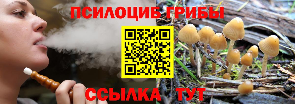 Псилоцибиновые грибы Magic Shrooms  Вход с VPN  Ртищево 